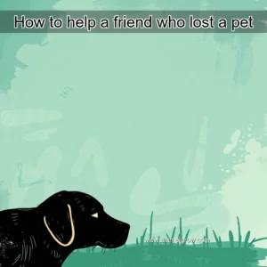 Artistic representation for How to help a friend who lost a pet