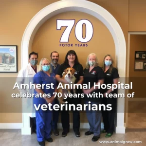 Artistic representation for Amherst Animal Hospital celebrates 70 years with team of veterinarians