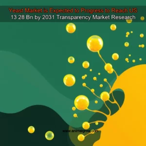 Artistic representation for Yeast Market is Expected to Progress to Reach US 13 28 Bn by 2031 Transparency Market Research