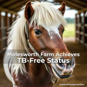 Artistic representation for Molesworth Farm Achieves TB-Free Status