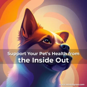 Artistic representation for Support Your Pet's Health from the Inside Out