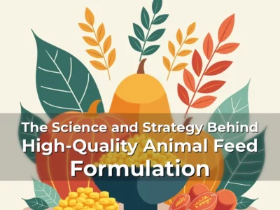 The Science and Strategy Behind High-Quality Animal Feed Formulation