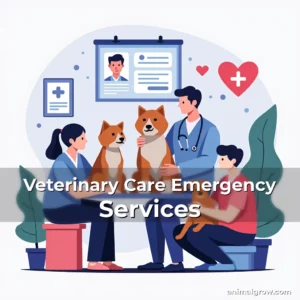 Artistic representation for Veterinary Care Emergency Services