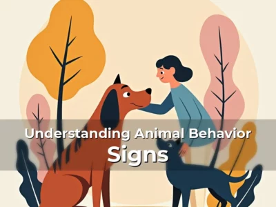 Understanding Animal Behavior Signs