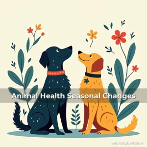 Artistic representation for Animal Health Seasonal Changes