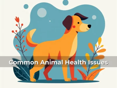 Common Animal Health Issues