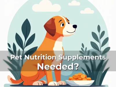 Pet Nutrition Supplements Needed?
