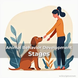 Artistic representation for Animal Behavior Development Stages