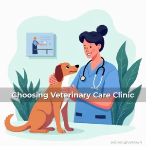 Artistic representation for Choosing Veterinary Care Clinic
