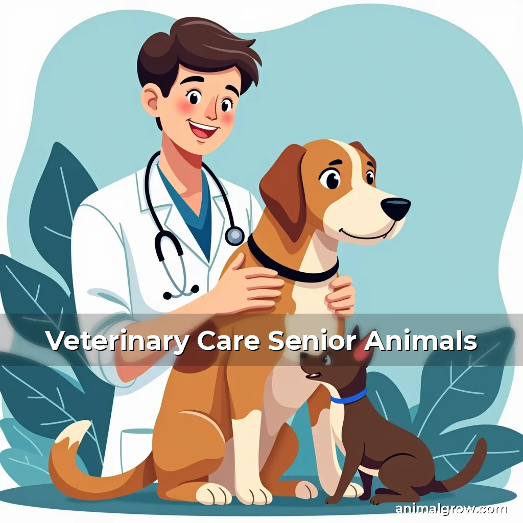 Artistic representation for Veterinary Care Senior Animals