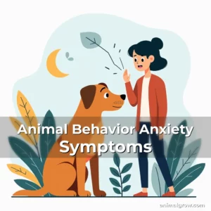 Artistic representation for Animal Behavior Anxiety Symptoms