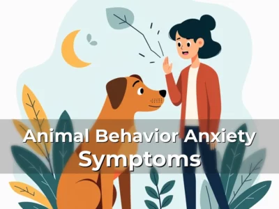 Animal Behavior Anxiety Symptoms