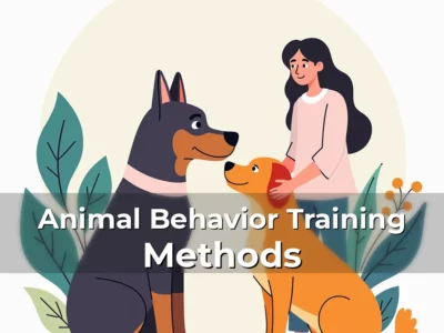 Animal Behavior Training Methods