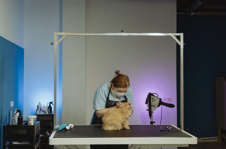 Pet Growth: Professional Insights and Tips