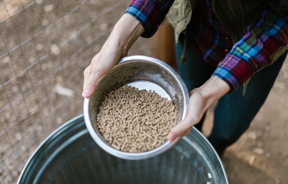 The Science of Animal Nutrition: Fueling Health and Productivity Across Species