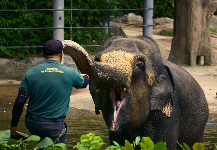 The Vital Role of Wildlife Conservation in Preserving Earth’s Biodiversity